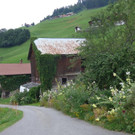 ogv20150809033444.jpg