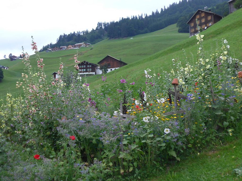 ogv20150809033457.jpg