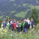 ogv20150809033465.jpg