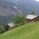 ogv20150809033476.jpg