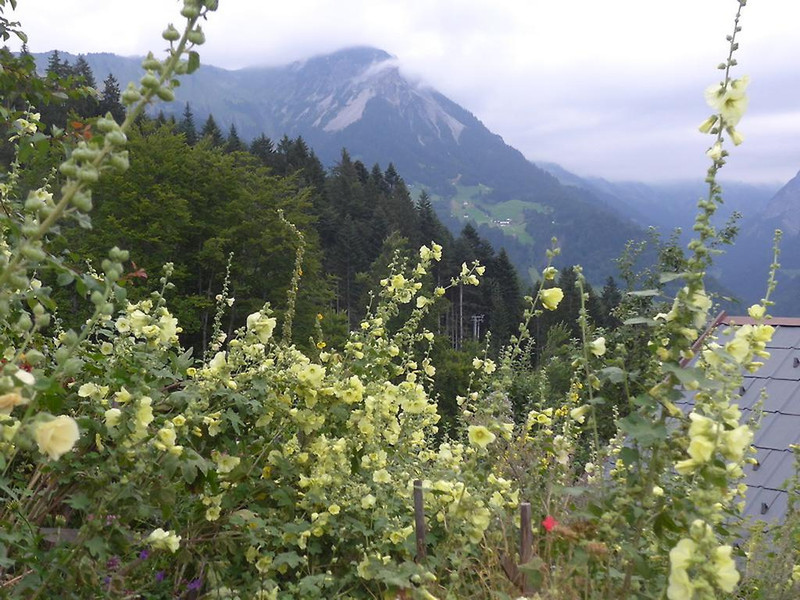 ogv20150809033477.jpg