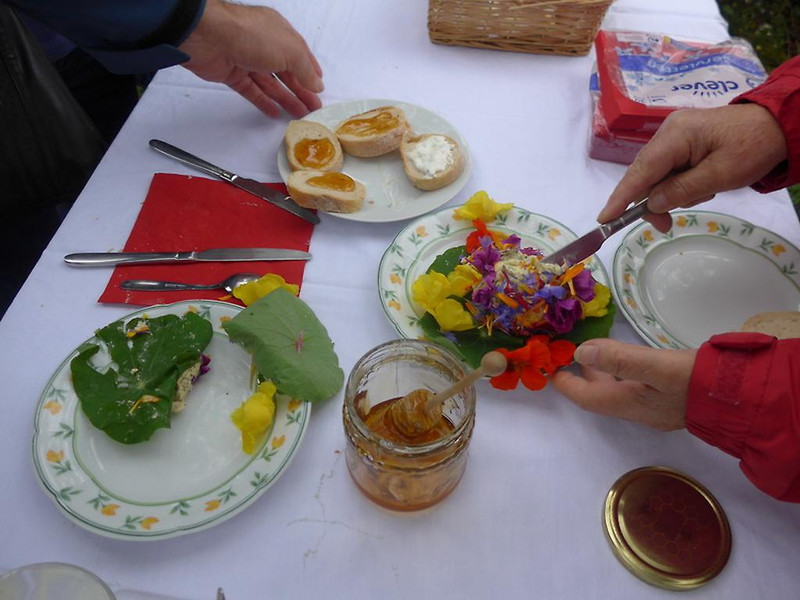 ogv20150809033484.jpg