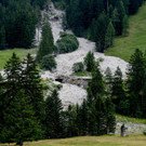 foto-lerch-100815003-8.jpg