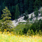 foto-lerch-100815003-6.jpg