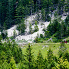 foto-lerch-100815003-5.jpg