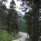IMG_0206.JPG