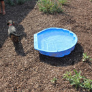 IMG_1104 _1_.JPG