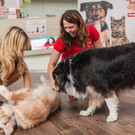 VIENNA.at spendet PURINA Tierfutter an das TierQuarTier Wien: Scheckübergabe-Shooting