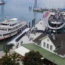 101_9699_jpg-1275199059