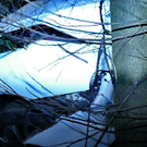 normal_29052010vupuchffaktivnews_03.jpg