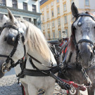 IMG_1405.JPG