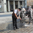 IMG_1409.JPG