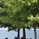 ABD0046-20150814.jpg