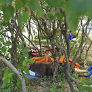 ABD0169-20150709.jpg