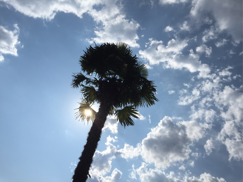 KOE_Zwischenbilanz Felsenaubad 18.jpg