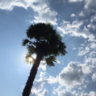 KOE_Zwischenbilanz Felsenaubad 18.jpg