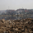 IBD0480-20150815.jpg