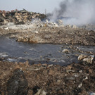 IBD0478-20150815.jpg