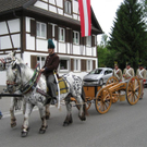 IMG_4865_JPG-1275205444