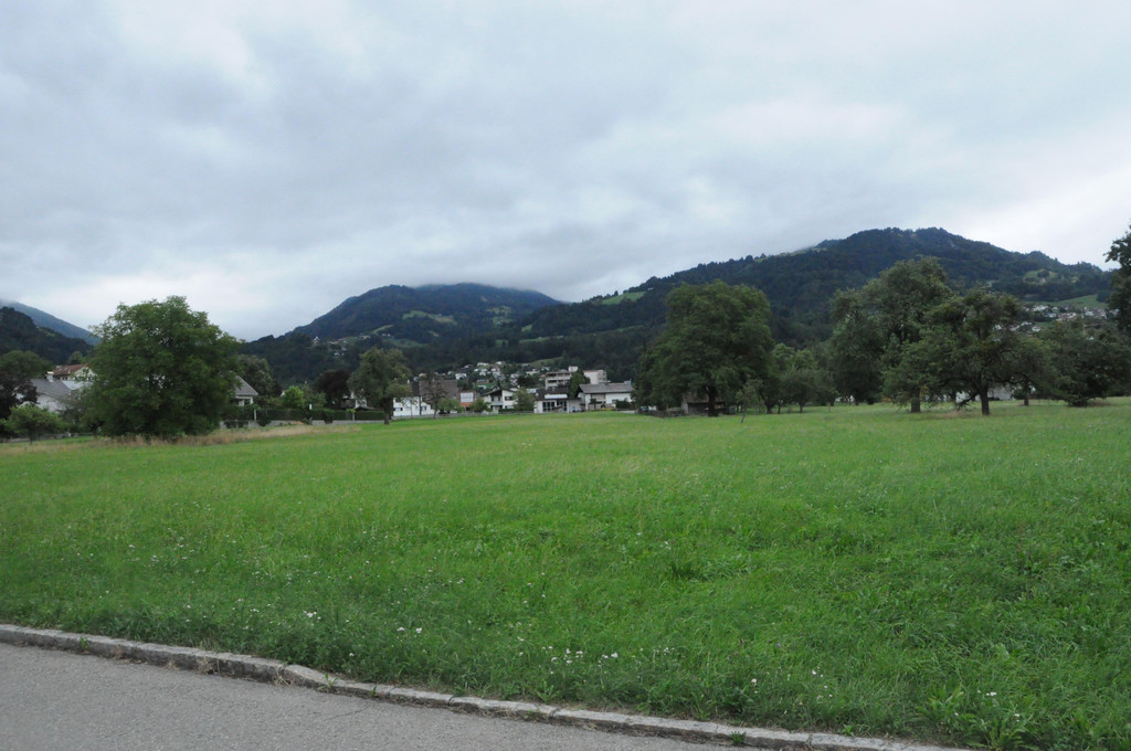 DSC_0002.JPG