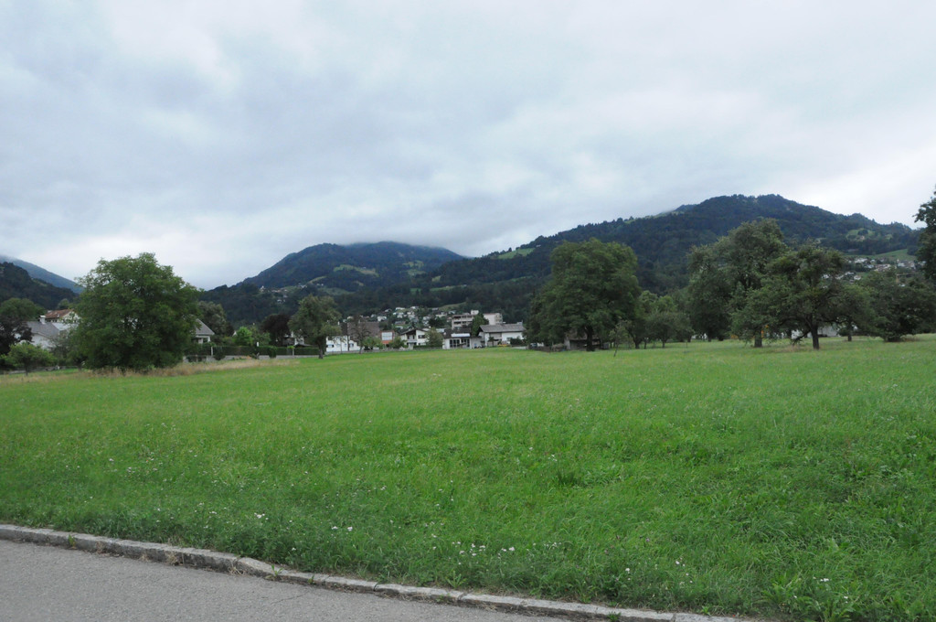 DSC_0007.JPG