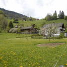 _DSC0678_JPG-1275214681