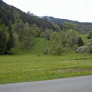 _DSC0685_JPG-1275214738
