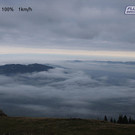 Livecam Andelsbuch (Niedere)