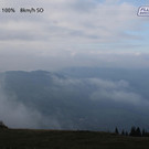 Livecam Andelsbuch (Niedere)