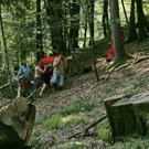 normal_02082009weisbachff_42.jpg