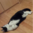 sora_inserat_ 3.jpg