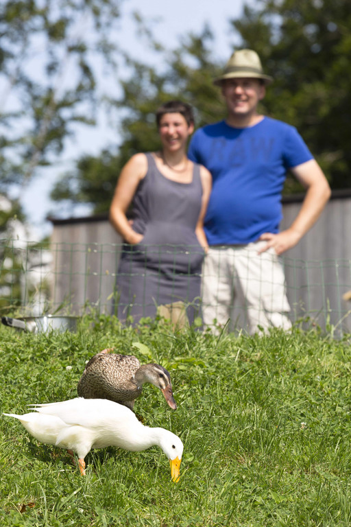 Miet-Ente40.jpg