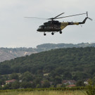 IBD0383-20150820.jpg
