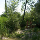sm_gemeinde_kanu03.JPG