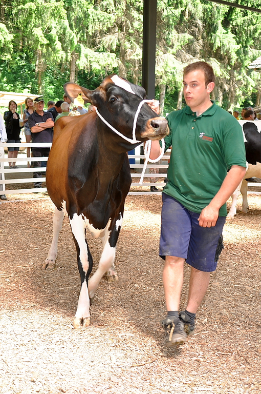 BauerEgle173.JPG