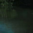 L1055696.jpg