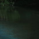 L1055697.jpg