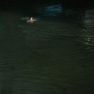 L1055698.jpg