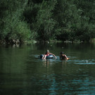 L1055809.jpg