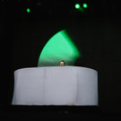 DSC_2009.jpg