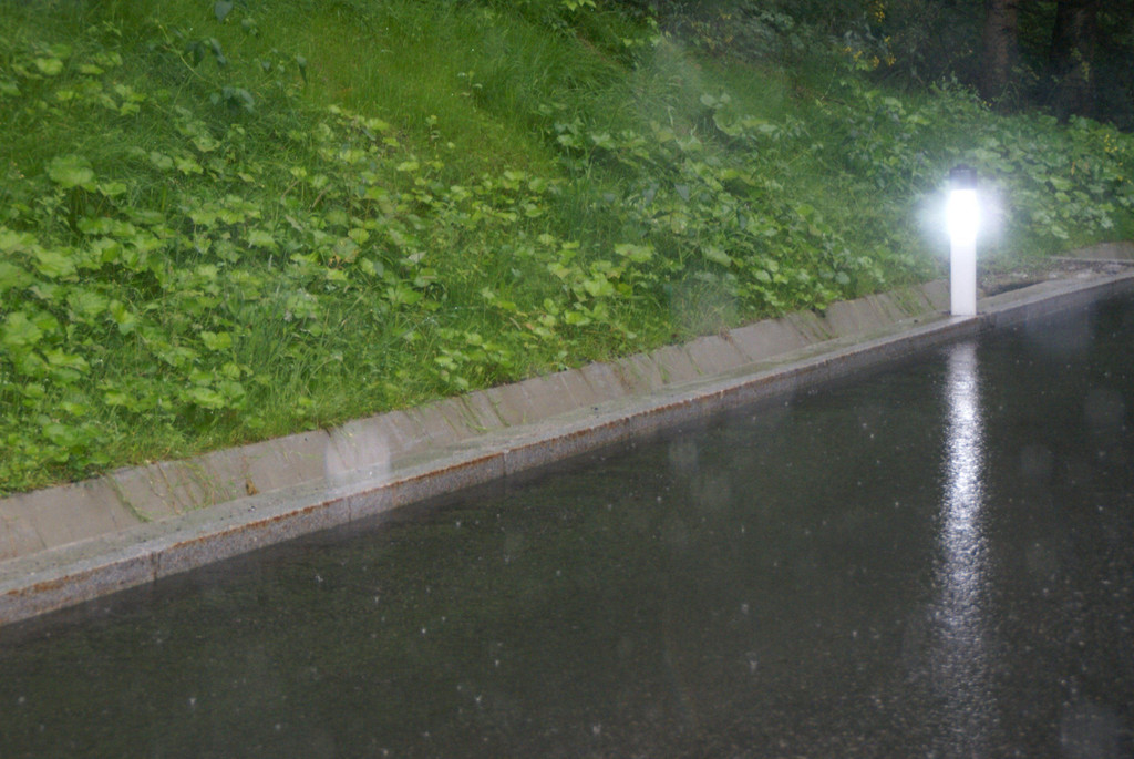 DSC00092.JPG