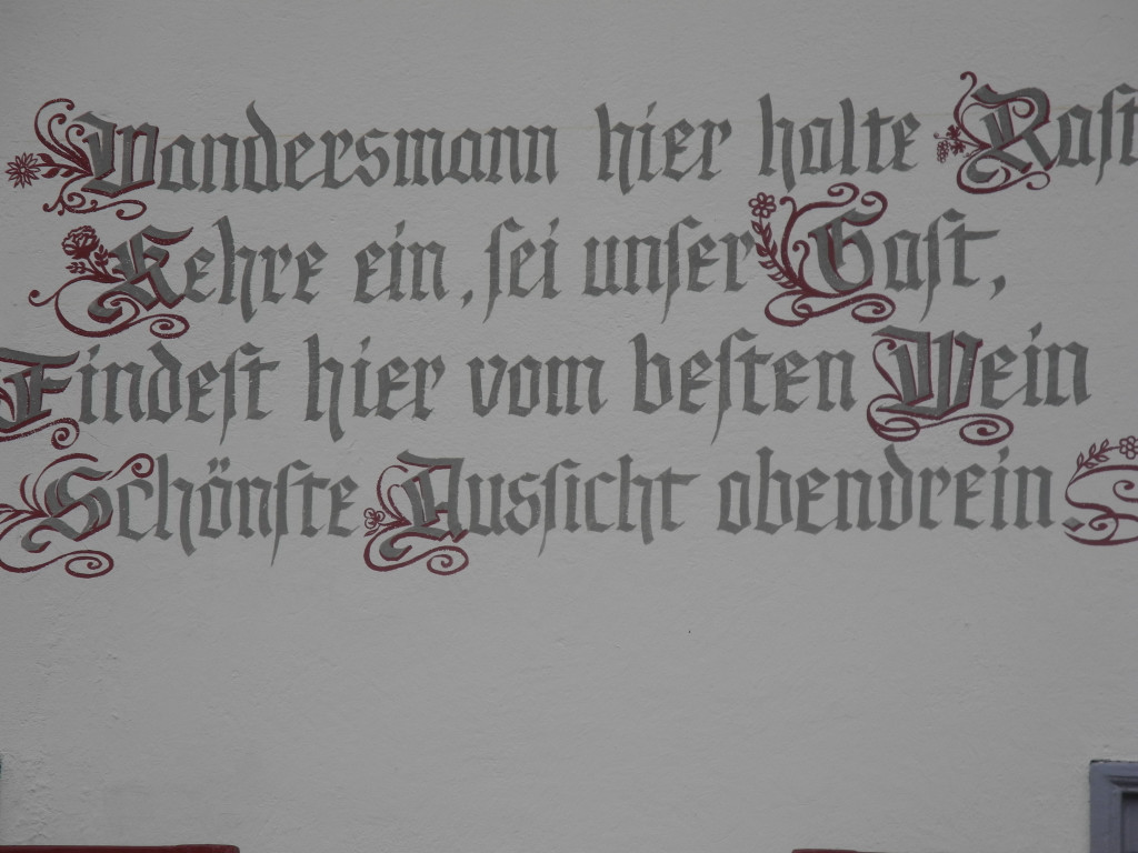 Mastrilser Auen     Bild  7.JPG