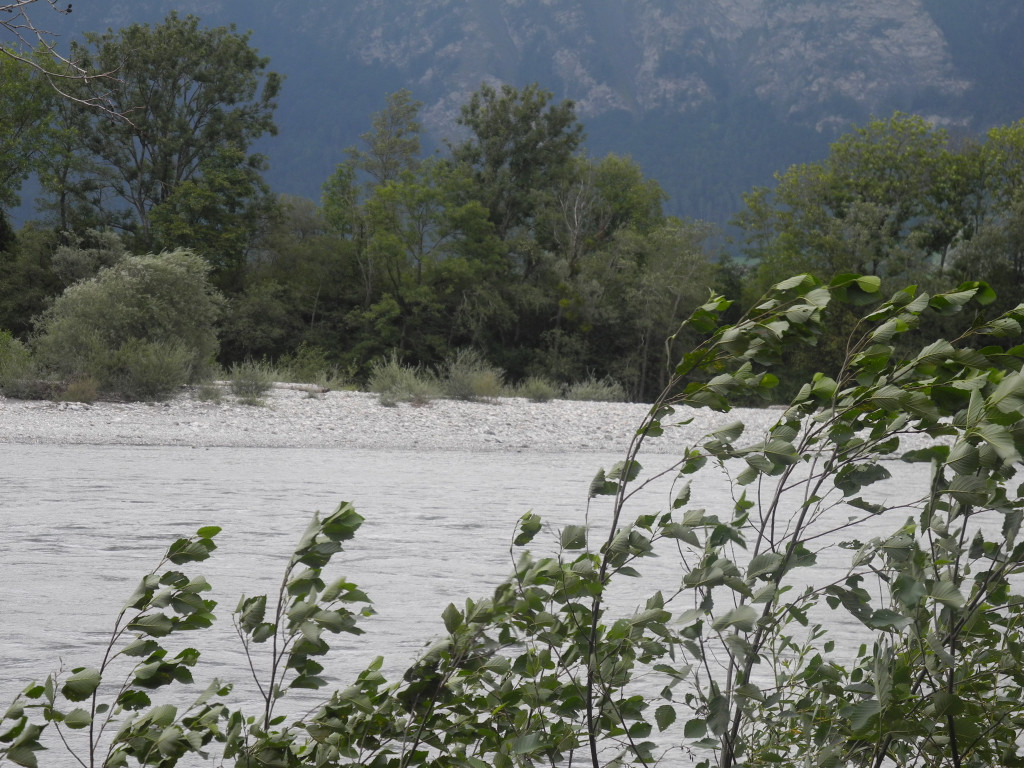 Mastrilser Auen   Bild 2.JPG