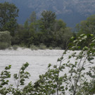 Mastrilser Auen   Bild 2.JPG