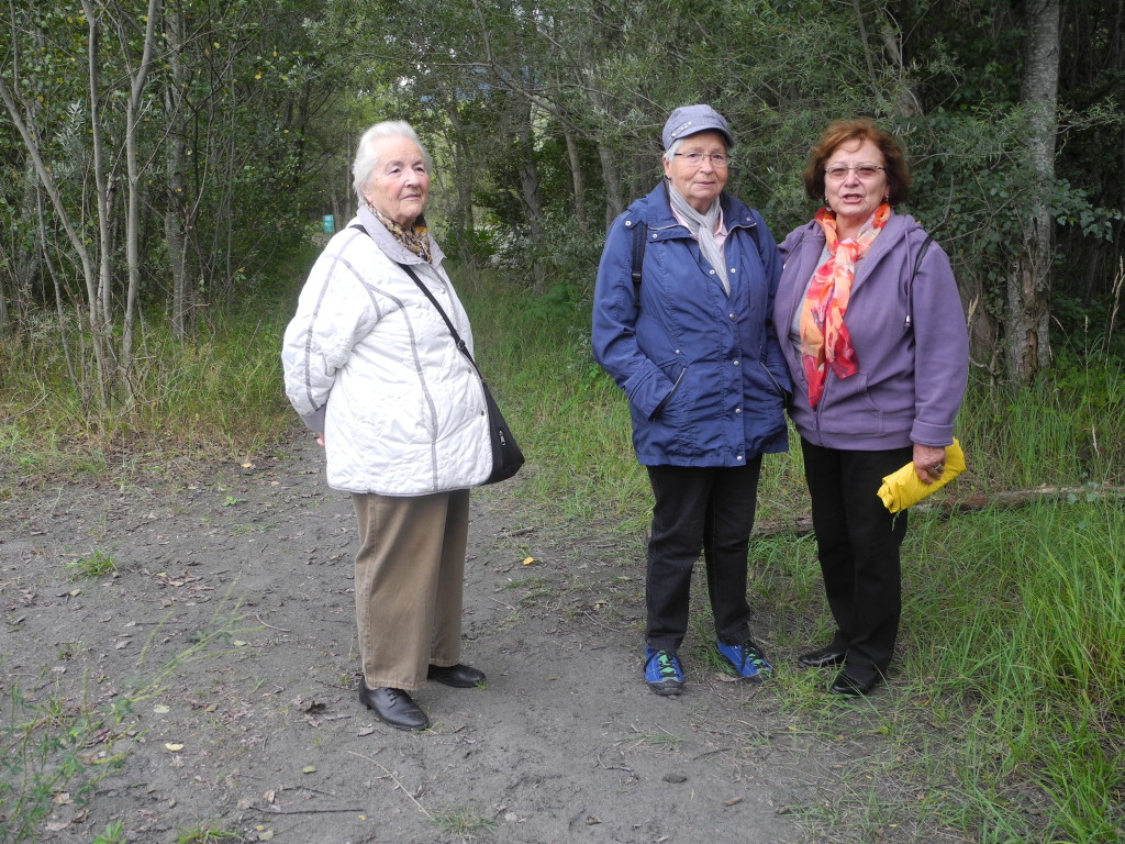 Mastrilser Auen   Bild 3.JPG