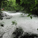 Dalmatien 2010 007_JPG-1275234987