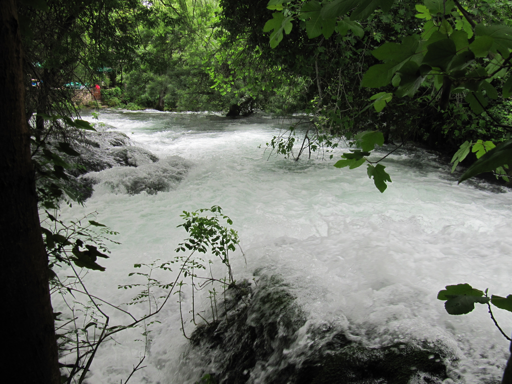Dalmatien 2010 007_JPG-1275234987