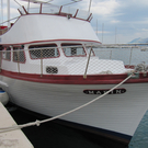 Dalmatien 2010 052_JPG-1275235547