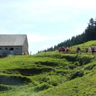 IMG_9378A.jpg