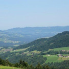 IMG_9379A.jpg